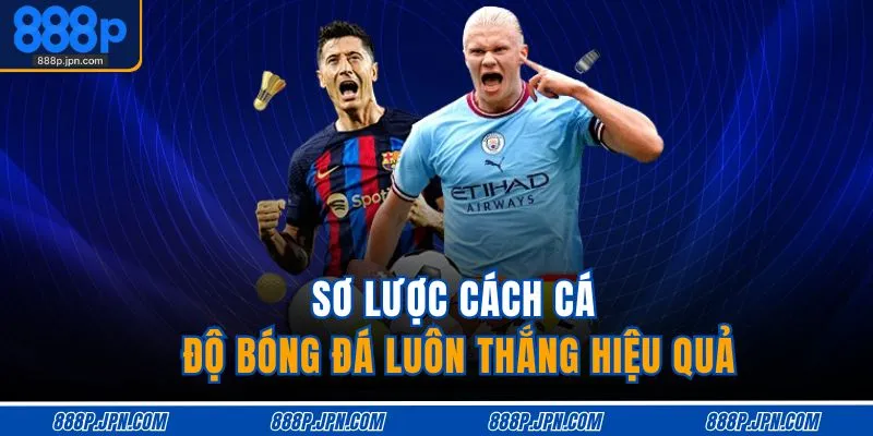 Sơ lược cách cá độ bóng đá luôn thắng hiệu quả